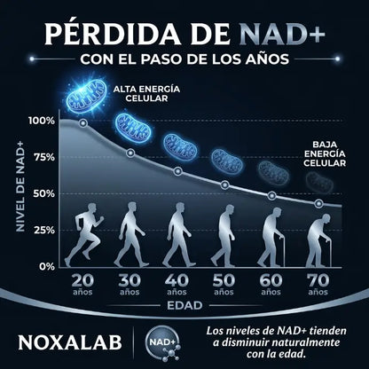 NoxaLab® Complejo de NAD+ 7 en 1 en Polvo